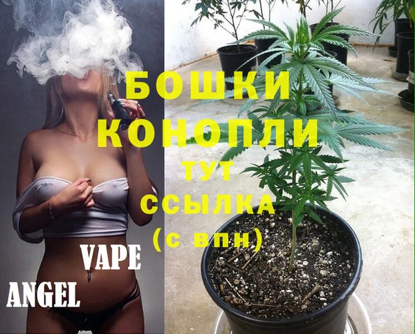 ПСИЛОЦИБИНОВЫЕ ГРИБЫ Баксан