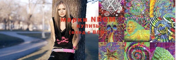 ПСИЛОЦИБИНОВЫЕ ГРИБЫ Баксан