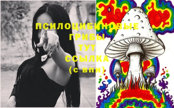 МДПВ Балабаново
